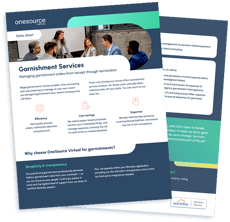 ds_wage garnishment_transparent_asset ds_wage garnishment_transparent_asset