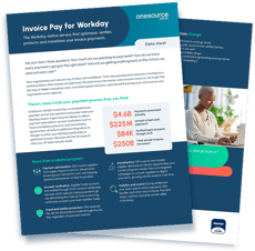 image shows a data sheet about invoice pay