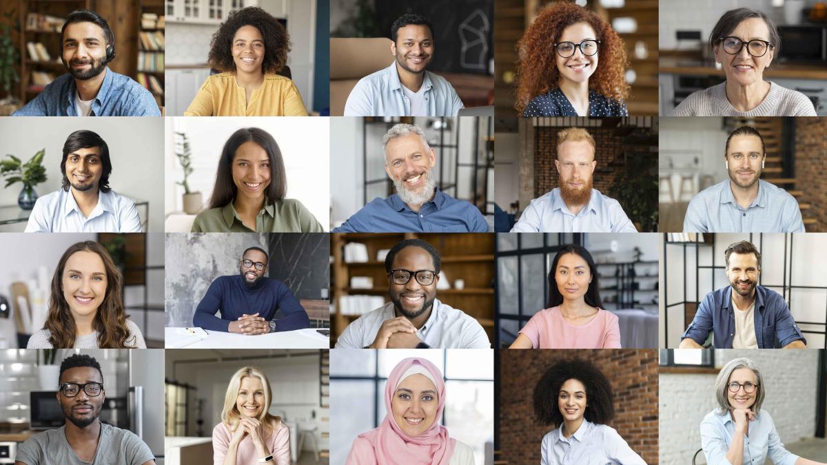 Diversity defined
